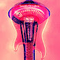 SeattleStoodios
