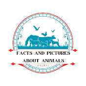 Facts And Pictures About Animals