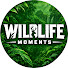 7y9Zm6f0bng-channel-avatar-Wild Life Moment