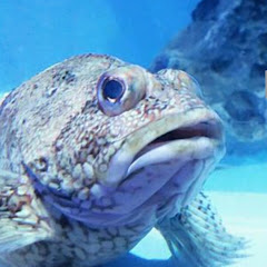 無断転マンアイコン画像