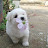 @SLACKER_YU