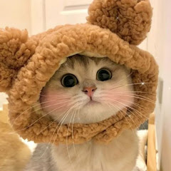 まさかの展開アイコン画像