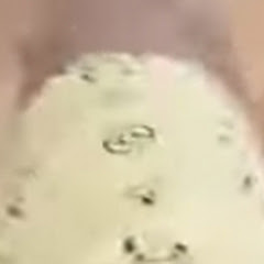 膀胱爆裂男マサルニキ