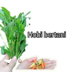 Hoby Bertani channel logo