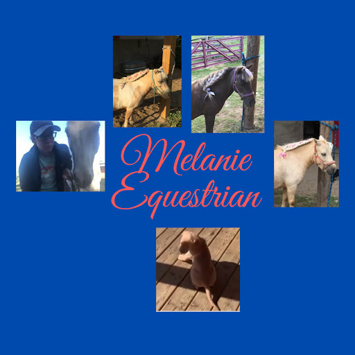 Melanie The Equestrian