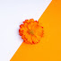 XBXfpWz5jkI-channel-avatar-orange_