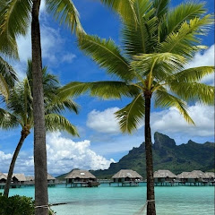 vuwPoint_ channel thumbnail