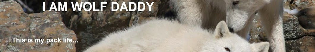 Wolf Daddy Leyton Jay Cougar Avatar de canal de YouTube