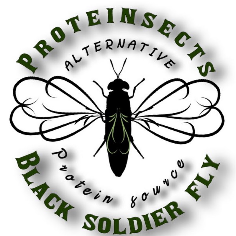 Black soldier fly farming in Nepal (proteinsects)
