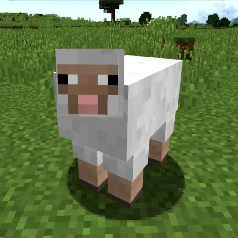 羊仔游戏解说 Logo