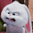 @도리도리-v2k