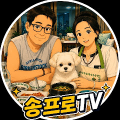 송프로TV