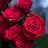 @NoorAl-Huda-h6s
