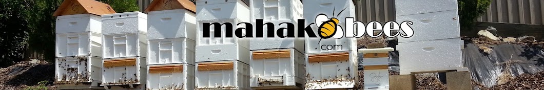 Mahako Bees YouTube channel avatar