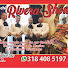 -gGencRaXZo-channel-avatar-Javier Rivera y su Mariachi Rivera Show 🎺