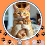 GINGER CAT logo