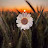@Mohmmed_Abdulgader