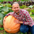 XxW0agPsXhE-channel-avatar-Le potager et le rucher de Sylvoutch