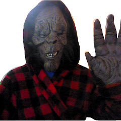Gorilla In A Robe