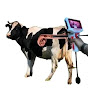 Dairy and cattle salutations logo