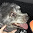 @lacto2178 Avatar