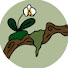 yR6N7aCpIII-channel-avatar-Tangled Earth Vivariums