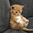 @MA7AMD_123