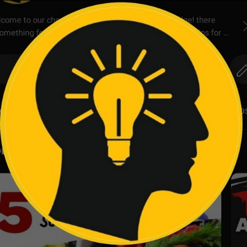 Knowledge Report