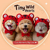 Tiny Wild Hearts