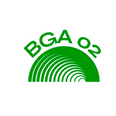 BGA 02