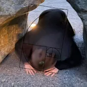 ゆうじろう
