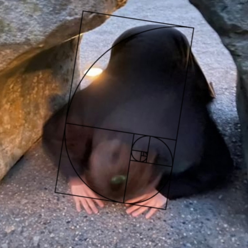 ゆうじろう YouTubeチャンネル画像
