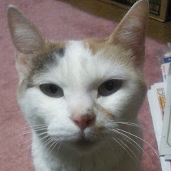 あああああ