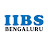 IIBS Business School