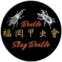 福岡甲虫會