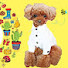 Channel Image