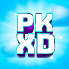 PK XD net worth
