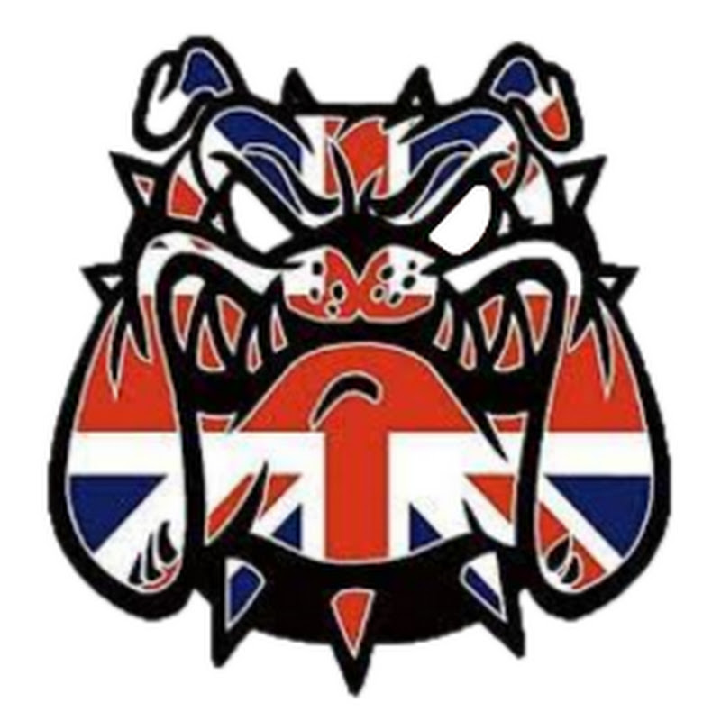 Bulldog Audits