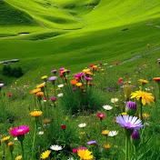 NatureVibes de