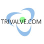 Trivalve - Non Return Valves logo