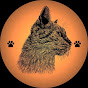Paws & Purrs - Daily Cat Chronicles logo