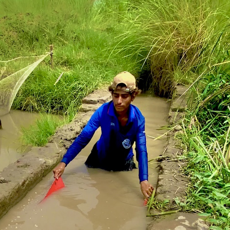 DANGER☠️ FISHING  avatar