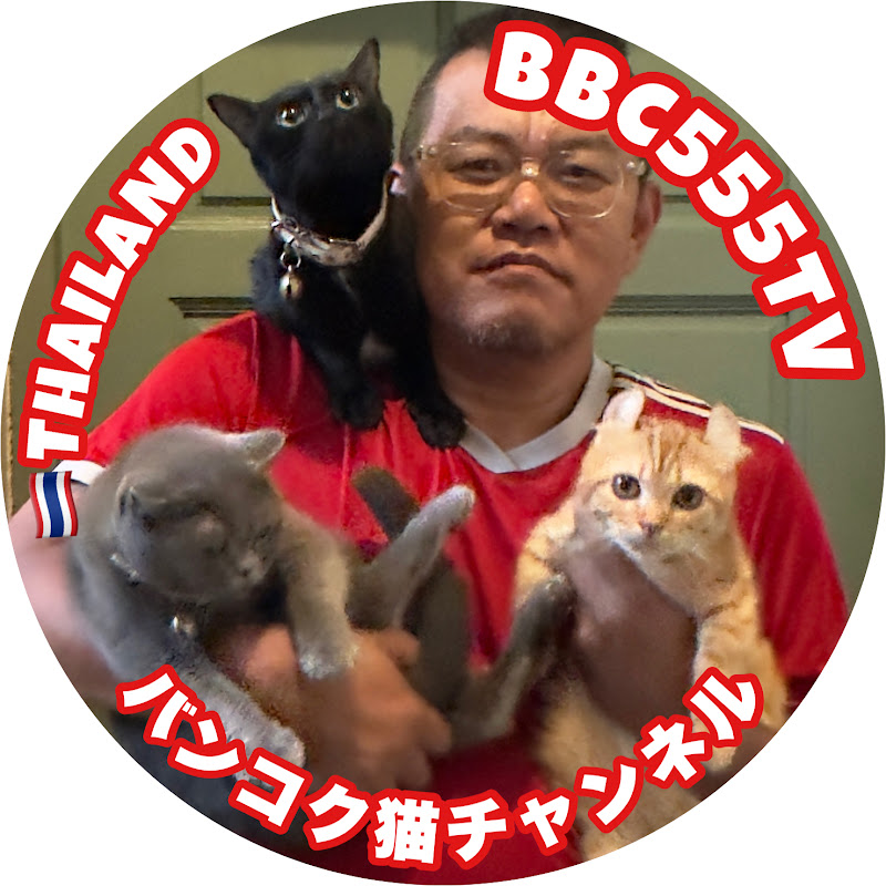 Bangkok Black Cat TV／タイの保護猫を見守るチャンネル【BBC555TV】