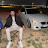 @İslamdemir33