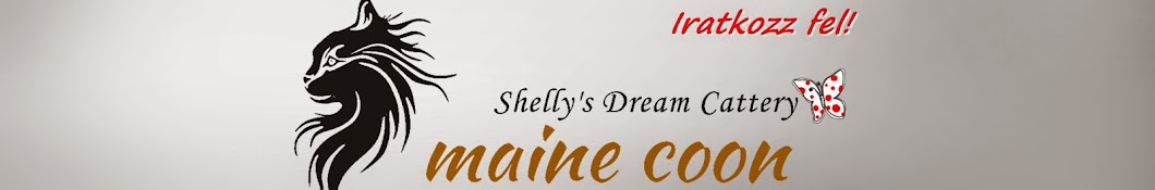 Shelly's Dream Maine Coon YouTube channel avatar