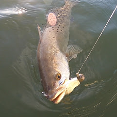 FishingwithWIGS