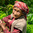 1zzGPReJX-Y-channel-avatar-Hidden Rural Nepal