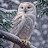 @StasMaslov-p8u