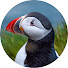 6ZLtBrTZYnw-channel-avatar-Puffin's Travel