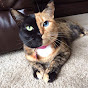 Cat Mew Mew - @catmewmew3961 YouTube Profile Photo